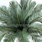 Palma artificiale Cycas 90 cm