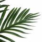 Palma tropicale artificiale 76 cm
