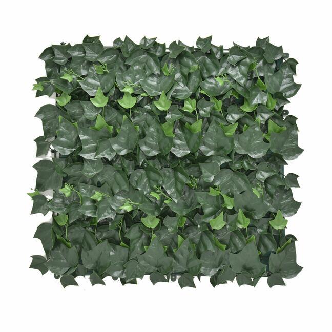 Pannello artificiale Edera - 50x50 cm
