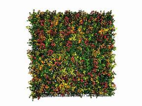 Pannello di fiori artificiali Leucadendron - 50x50 cm