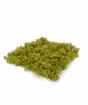 Pannello di muschio verde artificiale - 25x25 cm