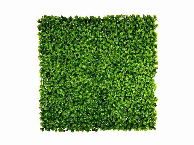 Pannello in foglia artificiale Peperomia - 50x50 cm