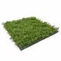 Pannello in muschio artificiale Mossmat - 50x50 cm