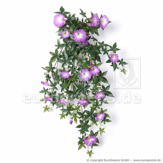Petunia artificiale viticcio viola 75 cm