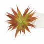 Pianta artificiale Agave rossa 18 cm