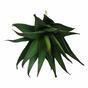 Pianta artificiale Aloe 13,5 cm