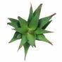 Pianta artificiale Aloe 13,5 cm