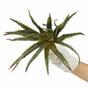 Pianta artificiale Aloe 27 cm