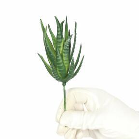 Pianta artificiale Aloe Vera 15 cm