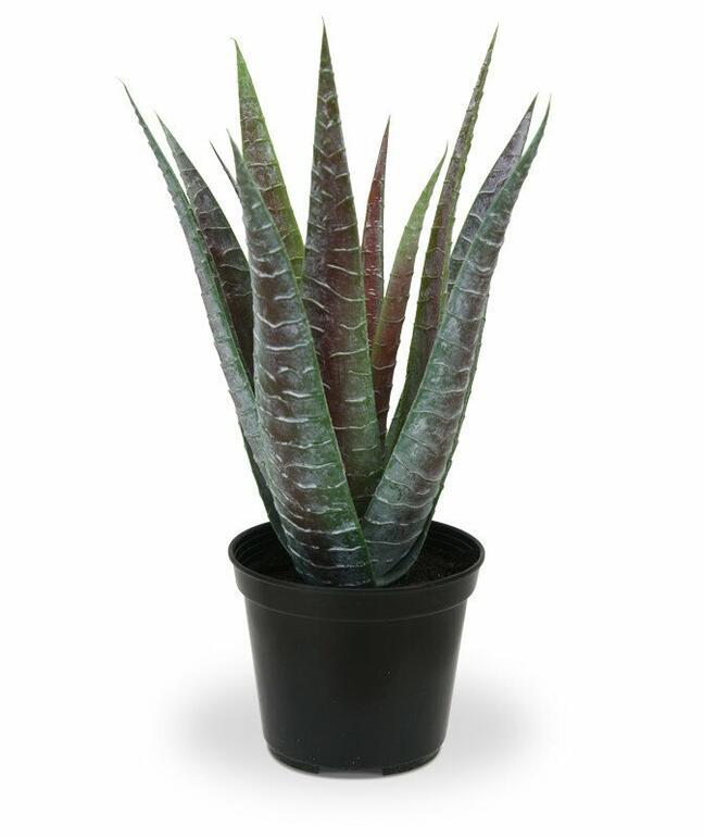 Pianta artificiale Aloe Vera 30 cm