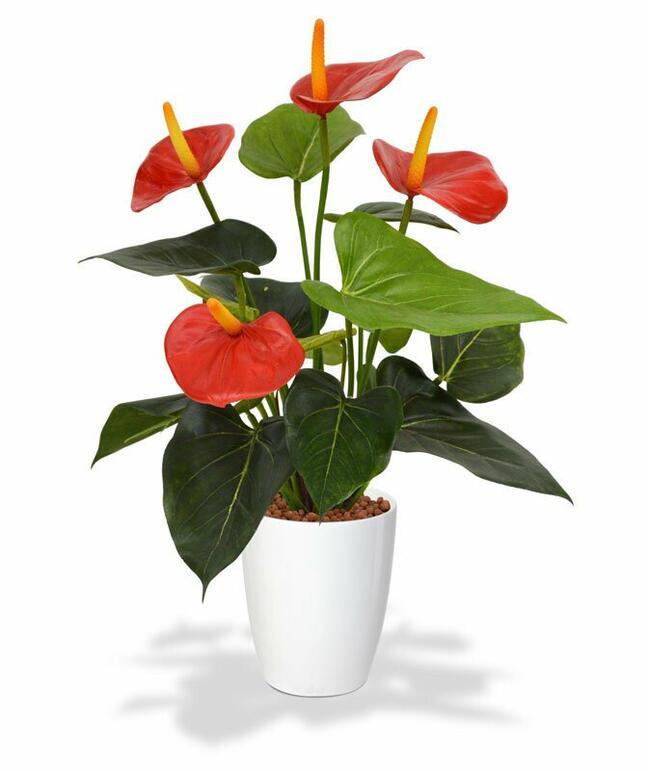 Pianta artificiale Anthurium rosso 40 cm