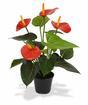 Pianta artificiale Anthurium rosso 40 cm