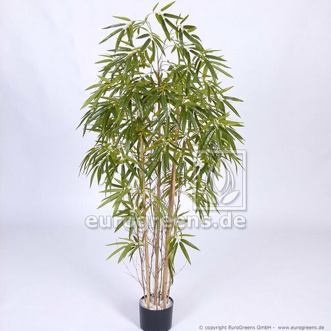 Pianta artificiale bambù cinese 150 cm