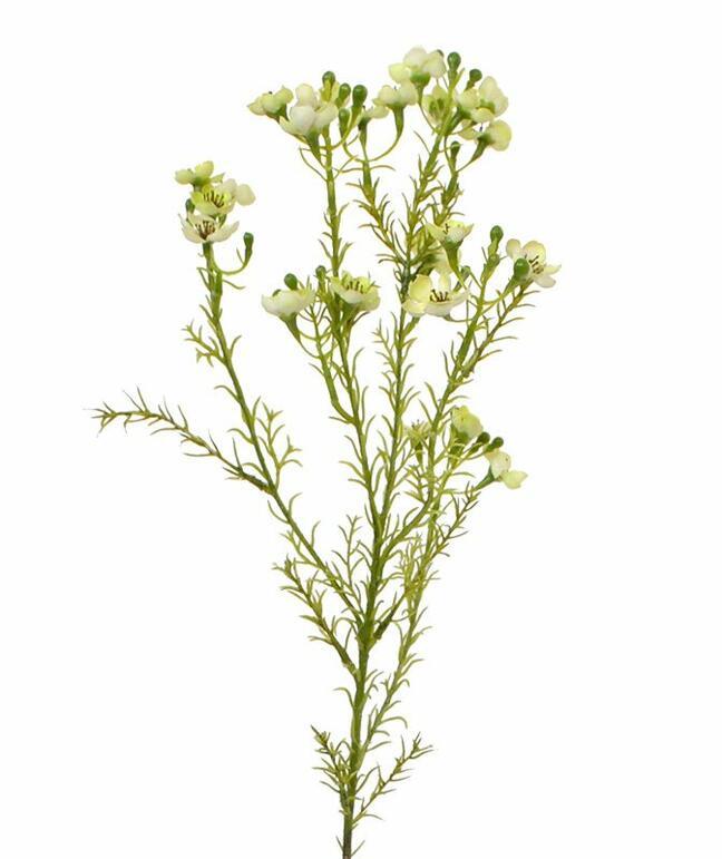 Pianta artificiale Chamelaucium uncinatum 65 cm