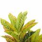 Pianta artificiale Crotone maculata 55 cm