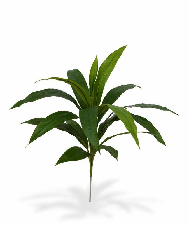 Pianta artificiale Dracena 60 cm