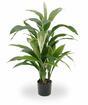 Pianta artificiale Dracena profumata 80 cm