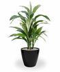 Pianta artificiale Dracena profumata 80 cm