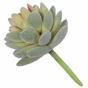 Pianta artificiale Echeveria velluto 9,5 cm