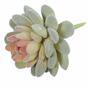 Pianta artificiale Echeveria velluto 9,5 cm