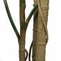 Pianta artificiale Monstera 120 cm