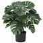 Pianta artificiale Monstera 60 cm