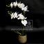 Pianta artificiale Orchidea bianca 65 cm