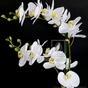 Pianta artificiale Orchidea bianca 65 cm