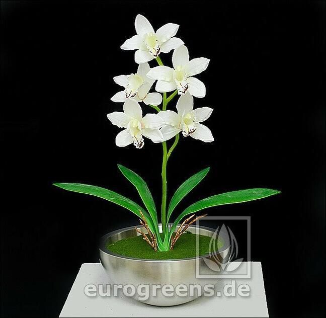 Pianta artificiale Orchidea Cymbidium crema 50 cm