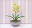 Pianta artificiale Orchidea Cymbidium verde chiaro 50 cm