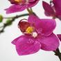 Pianta artificiale Orchidea viola 50 cm