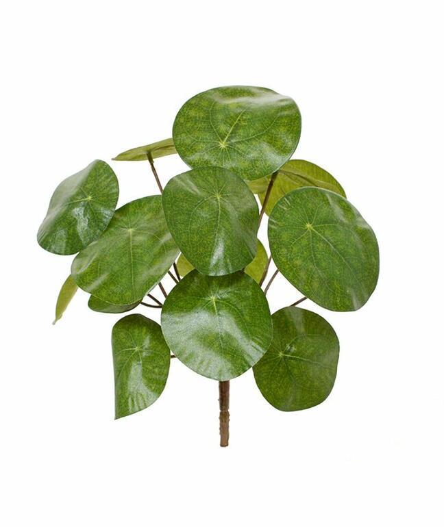 Pianta artificiale Pilea peperomioides 20 cm