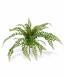 Pianta artificiale Rotundifolia 55 cm