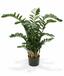 Pianta artificiale Zamiokulkas 120 cm