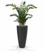 Pianta artificiale Zamiokulkas 120 cm