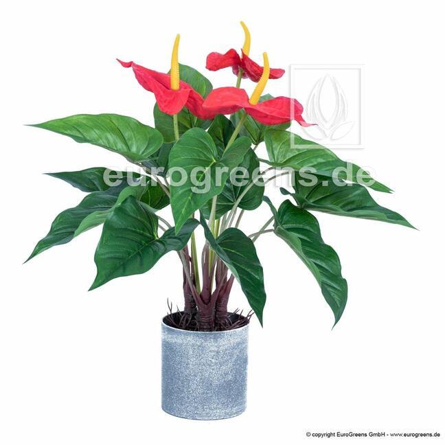 Pianta di anthurium artificiale che fiorisce 45 cm