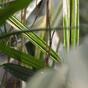 Pianta di bambù artificiale 70 cm