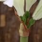 Ramo artificiale Amaryllis bianco 55 cm