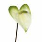 Ramo artificiale Anthurium bianco-verde 55 cm