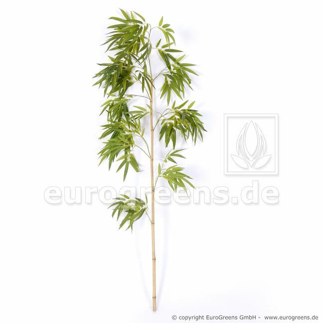Ramo artificiale Bambù cinese 150 cm