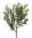 Ramo artificiale Buxus 45 cm