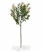 Ramo artificiale Buxus 45 cm