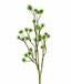 Ramo artificiale Cardo 80 cm