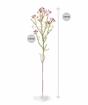 Ramo artificiale Chamelaucium uncinatum rosa 65 cm