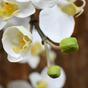 Ramo artificiale di Orchidea bianco 110 cm