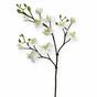 Ramo artificiale di Orchidea bianco 60 cm
