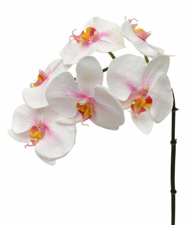 Ramo artificiale di Orchidea rosa-bianco 55 cm