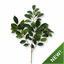 Ramo artificiale Fikus 55 cm