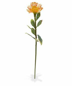 Ramo artificiale Leucadendron arancione 60 cm