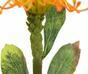 Ramo artificiale Leucadendron arancione 60 cm